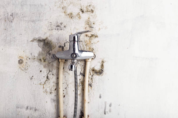 Best Mold Testing  in Farmville, VA