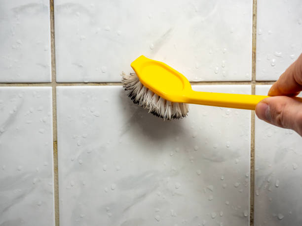 Best Fast Mold Removal  in Farmville, VA