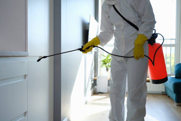 Farmville, VA Mold Removal Company