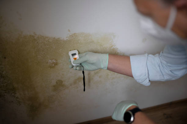Best Mold Cleaning Services  in Farmville, VA