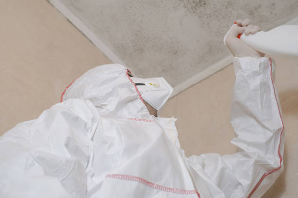 Best Attic Mold Removal  in Farmville, VA